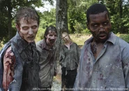 Zombies (Modern Culture) are ravenous cannibalistic undead born from many different means ranging from plagues to necromancy.