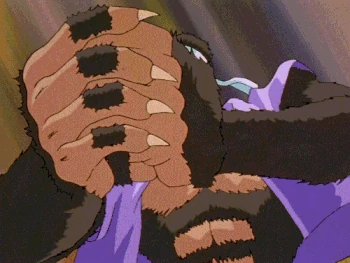 Yu Yu Hakusho Momotaro Ape Armor