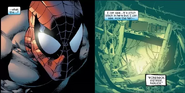 As the host to the Other, Peter Parker/Spider-Man (Marvel Comics) possessed night vision, able to see in total darkness.