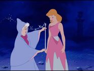 Fairy Godmother (Disney's Cinderella) can temporarily turn animals into humans.
