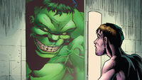 The Hulk (Marvel Comics) is a distillation of Bruce Banner's human anger.