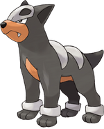 Houndour (Pokemon)