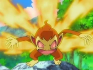 Anger!!.png (50 KB) When Ash's Infernape (Pokémon) was a Chimchar...