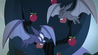 Bats taking the apples S4E07