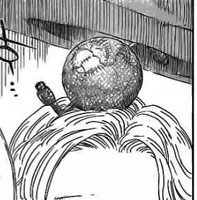 Heronian Aeolipile (Hungry Joker) grants it's user the power to control water vapor, specifically mist.