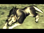 Twilight Princess - Link to Wolf Transformation -WII 1080 Fullscreen HD - Clip-2