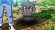 Marshadow (Pokémon) can lurk in the shadows of others to copy their movements and powers.
