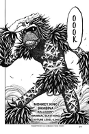 Monkey King Bambina.png (1.31 MB) Bambina (Toriko) can manipulate his own cells via the Monkey Dance technique.