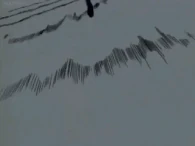 With elements of the acrobatic Brazilian Capoeira, Red Leg Zeff (One Piece) created and mastered a kick based martial art named Black Leg Style...