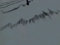 In his days as a pirate, Red Leg Zeff (One Piece) created and mastered a kick based martial art named Black Leg Style, a combination of Brazilian Capoeira, French Savate and Korean Taekwondo.