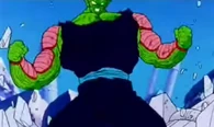 Piccolo (Dragon Ball Z) partially assumes his Great Namek form to fight Garlic Jr.