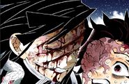 After Obanai Iguro (Kimetsu no Yaiba) loses both his eyes, he was still able to fight effectively by relying on his pet snake, Kaburamaru, who can predict his opponent's attacks and relay the information to Obanai himself in order to fight.