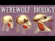 Werewolf Biology Explained - The Science of Lycanthropy-2