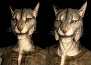 The Khajiit (The Elder scrolls series) are humanoid cats