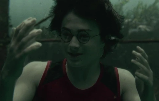 Harry Gillyweed