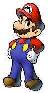 As seen in Super Smash Bros. games, Mario (Mario series) has been known for possessing simple but effective physical combat skills.