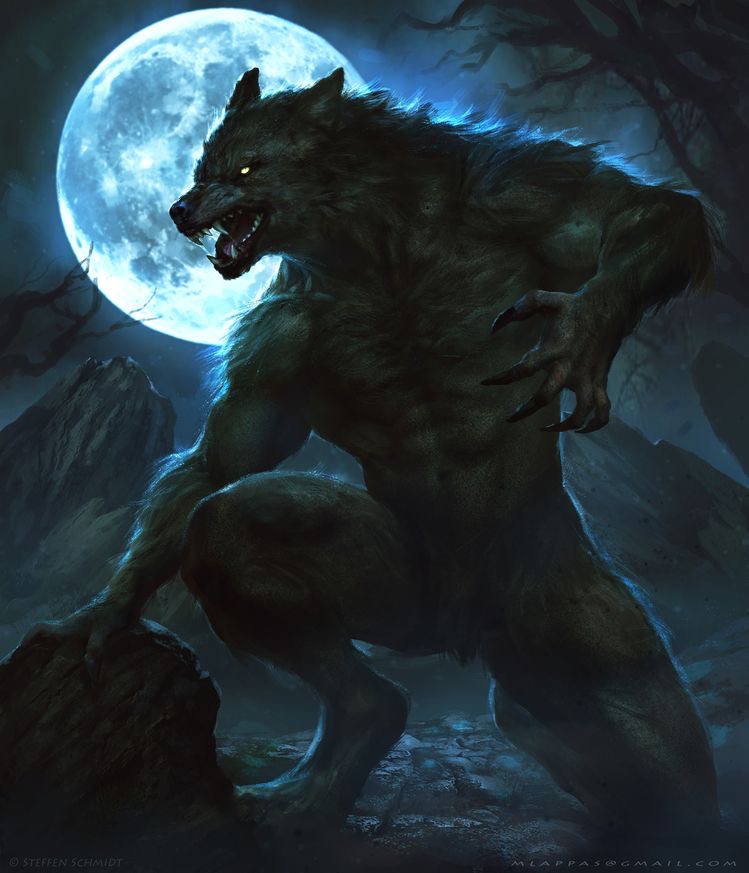 anime werewolf human