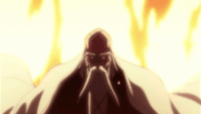Wonderweiss Margela's (Bleach) Resurrección Extinguir grants him tremendous immunity to fire, to the point not even the flames of Ryūjin Jakka can burn him.