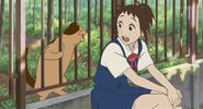 Ever since she was a little girl, Haru (The Cat Returns) has possessed a mysterious ability to speak to cats.