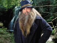 Tom Bombadil (The Lord of the Rings)