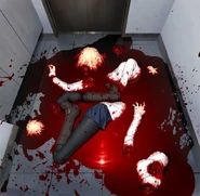 ...after being severed into 17 pieces by Shiki.
