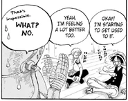 Luffy & Zoro (One Piece) adapting to the Thin Air.jpeg (128 KB) Luffy & Zoro (One Piece) adapting to the thin air of Skypeia.