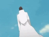 Illusion Manipulation