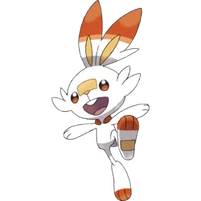 Scorbunny (Pokémon)