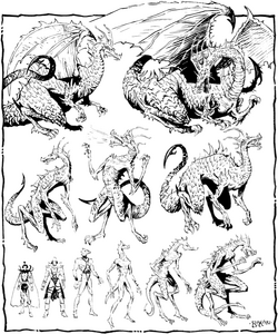 Dragon evolution.png