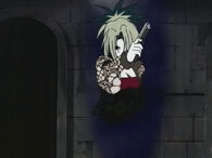 Echidna Parass Gate.jpg (23 KB) Echidna Parass (Black Cat) can convert her life force into gates within space.