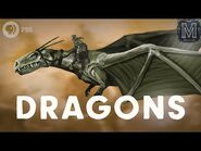 How Dragons Conquered the World - Monstrum-2