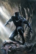 T'Challa, Black Panther (Marvel Comics), is gifted a Panther Habit that can absorb vibrations via its Vibranium lacing. It also can negate and/or lessen powerful kinetic-based attacks such as bullets shots, penetrating blades, and crushing blows. The lenses in the mask cut glare and enhance the Panther's natural night vision. It also allows him to see in infra-red and other visual spectra. The suit features cloaking technology.