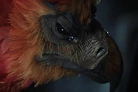 Fawkes (Harry Potter) is a phoenix; who will be reborn with all of his memories intact upon death, thus; an immortal being; the only known creatures in the wizarding world to have natural immortality.