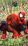 Spider-Man (Marvel Zombies)