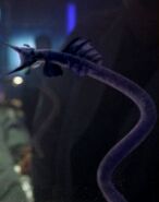 Goa'uld.jpg (47 KB) A Goa'uld (Stargate), a snakelike alien race that coil themselves around a host's spinal cord, fully taking over their bodies while greatly increasing the body's natural abilities.