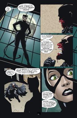 Catwoman Vore