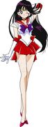 Rei Hino/Sailor Moon (Sailor Moon)