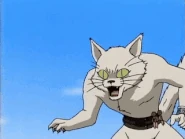 Babbo (Marchen Awakens Romance) turns into a powerful cat with Version 6: Puss in Boots, and naturally gains retractable claws.