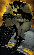 The Batman of Earth-31 (DC Comics) remains a talented fighter despite being 55 years old and being out of the game for ten years.