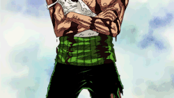 Zoro's Loyalty (One Piece).gif