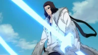 Reiryoku Swords.jpg (92 KB) Coyote Starrk (Bleach) converting his bandoliers into spiritual particles, which he then concentrates into dual swords named Colmillo.