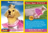 After gaining an Inspiron power ring, RoseBud (Air Buddies) possessed the abillity of Super Speed