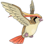 Pidgeot (Pokémon) can fly faster than speed of sound.
