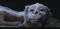 Falkor (The Neverending Story)