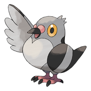 Pidove (Pokemon)