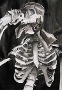 Gashadokuro (Japanese Folklore)