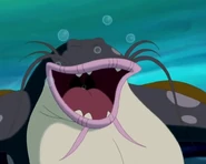 Bogart (The Adventures of Little Carp) is a Fat Catfish.