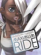 Nudge (Maximum Ride) Half-Avian and Half-Human