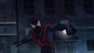 Peter Parker/Blood Spider (Ultimate Spider-Man) fights the denizens of the Vampire Universe regularly.