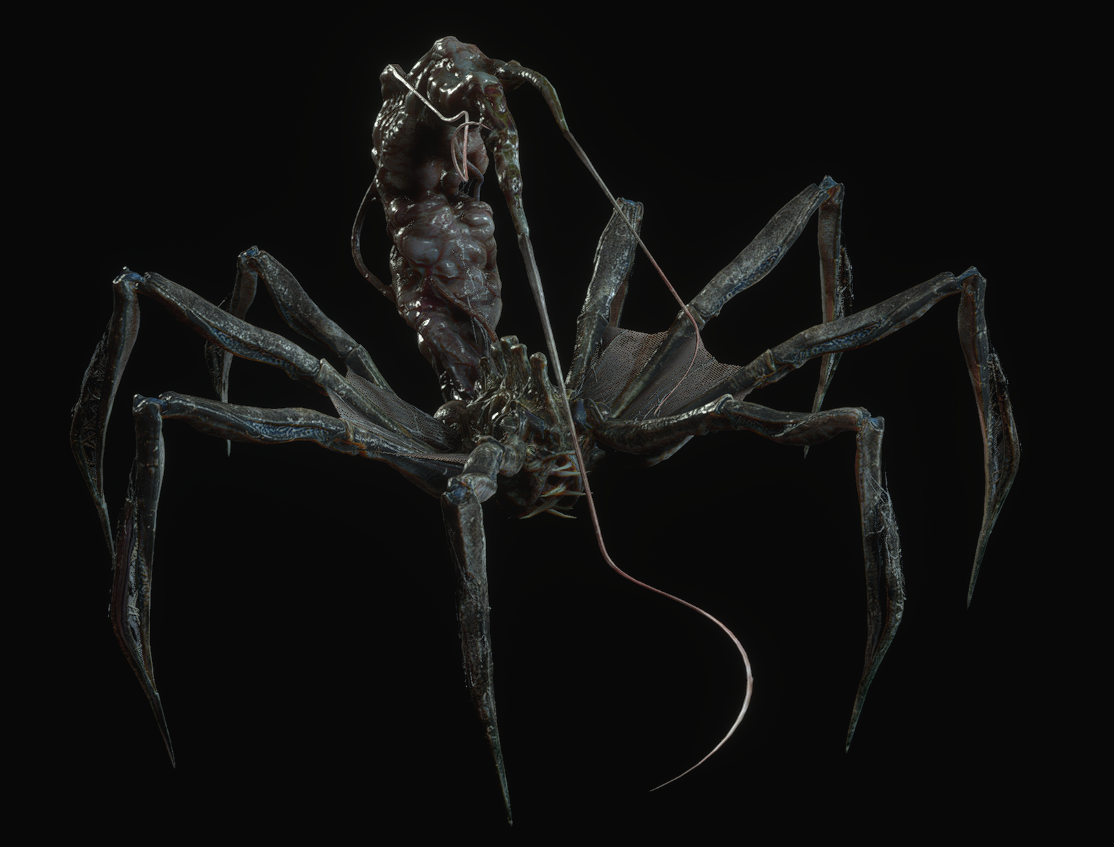 parasitic worms in spiders